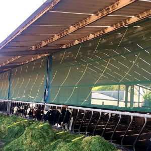 large shed windbreak